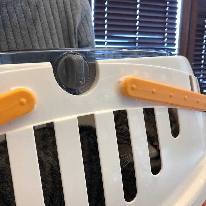 Dba8596f fe8f 44e2 832a 9b5be95b7d01 1523672019708