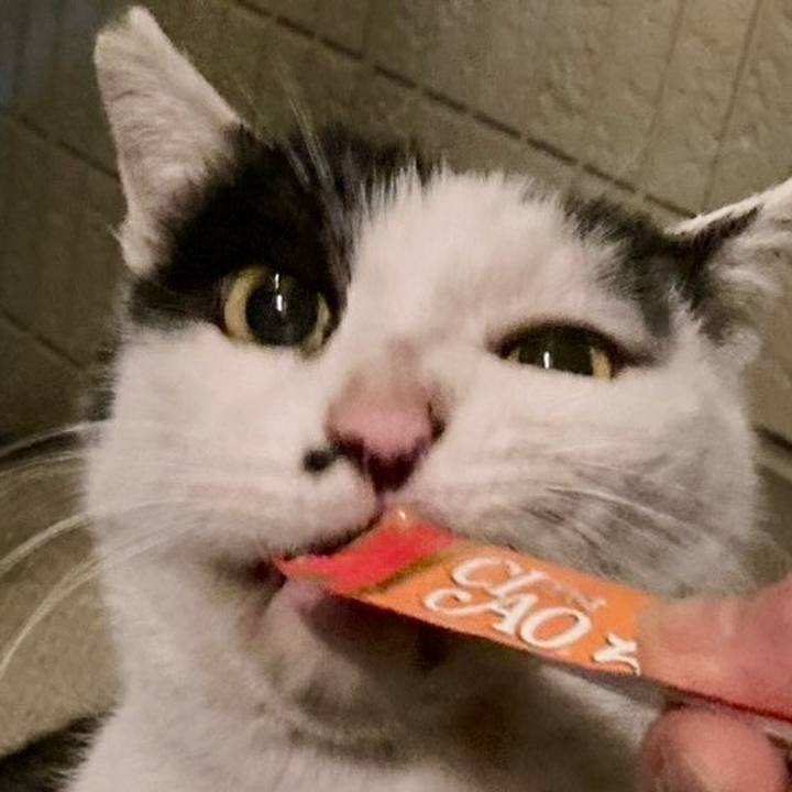 Dba85ca9 820a 489a 8582 f9339ba8264c 1768644558272