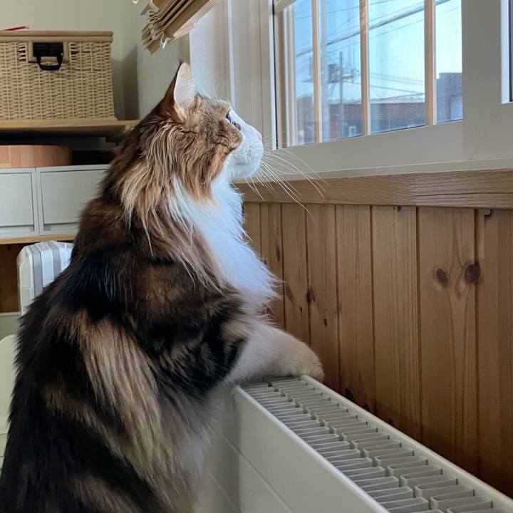 Dba8660e 63a1 49f7 bc39 724a64a4f772 1678005290279