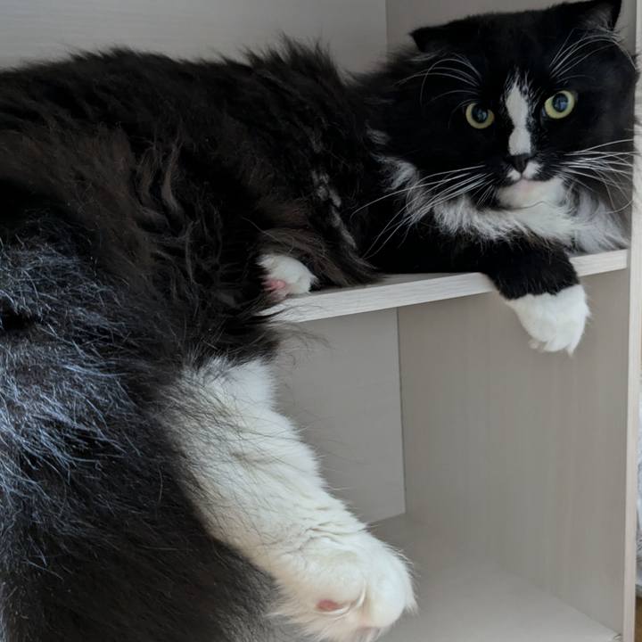 Dba89953 52ef 4bfa b190 e36c788104b3 1721855676287