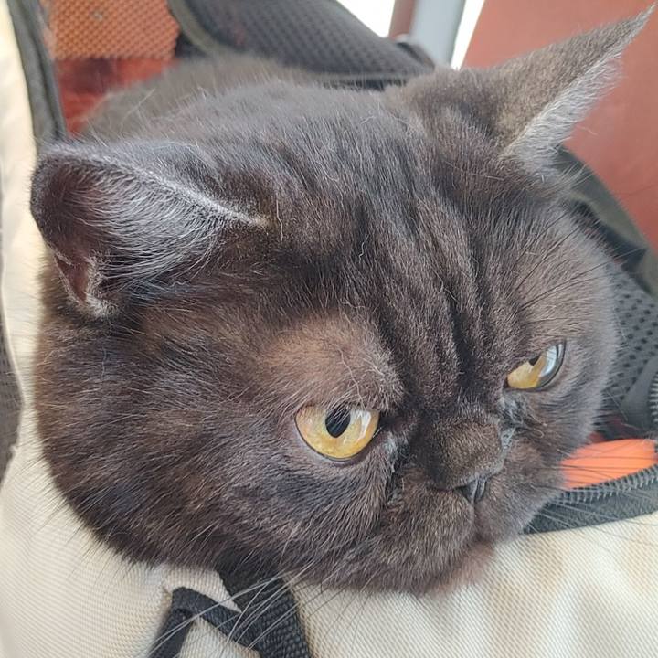 Dba8a342 e834 457d b02f 9a6b0b373498 1619746471058