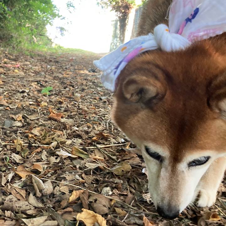 Dba8cafa 6118 4602 ab3d e10c0e7c20ec 1689554518227