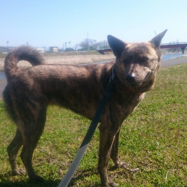 Dba8d42a d682 43ae ad47 3786ae94f315 1521854137741