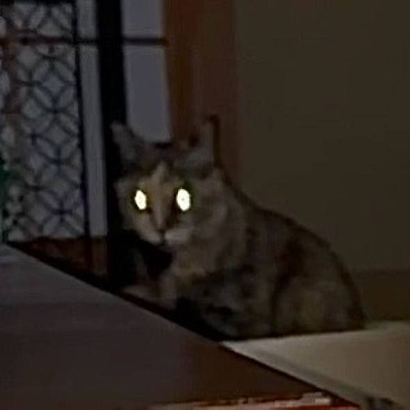 Dba8e25e 959f 400c ae72 7ddec8124cd5 1765660159831