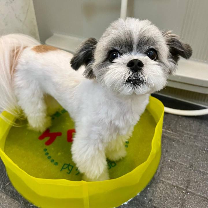 Dba8fabd 6fff 4dc5 b690 78f0631bc9bd 1661571098338