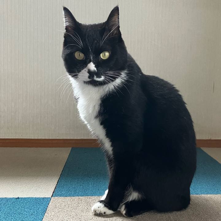 Dba90c9d 5072 45c8 b623 8c3e5daabc38 1764561754945