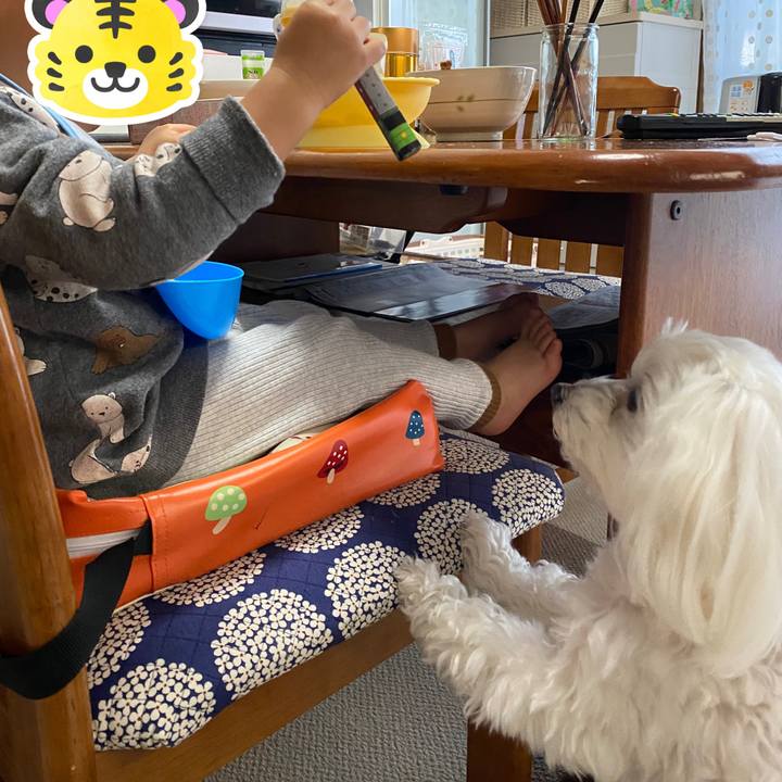 Dba92426 9ed9 4ebc be0f 53fe110e071b 1642841435694