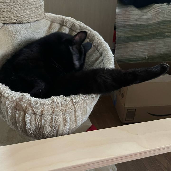 Dba9255f c9d2 4bcf 8bc8 58a4de9c3207 1688906287804