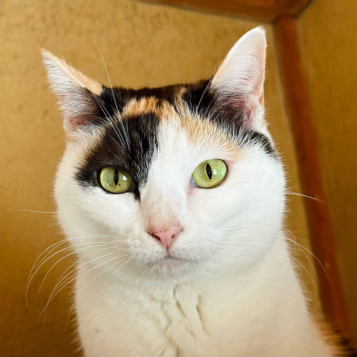 Dba93938 d5db 4e22 b613 80f5c4b7cccf 1675735614569