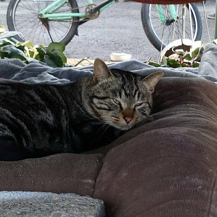 Dba9916e c0b9 4314 8eb2 44742d923163 1515649145607