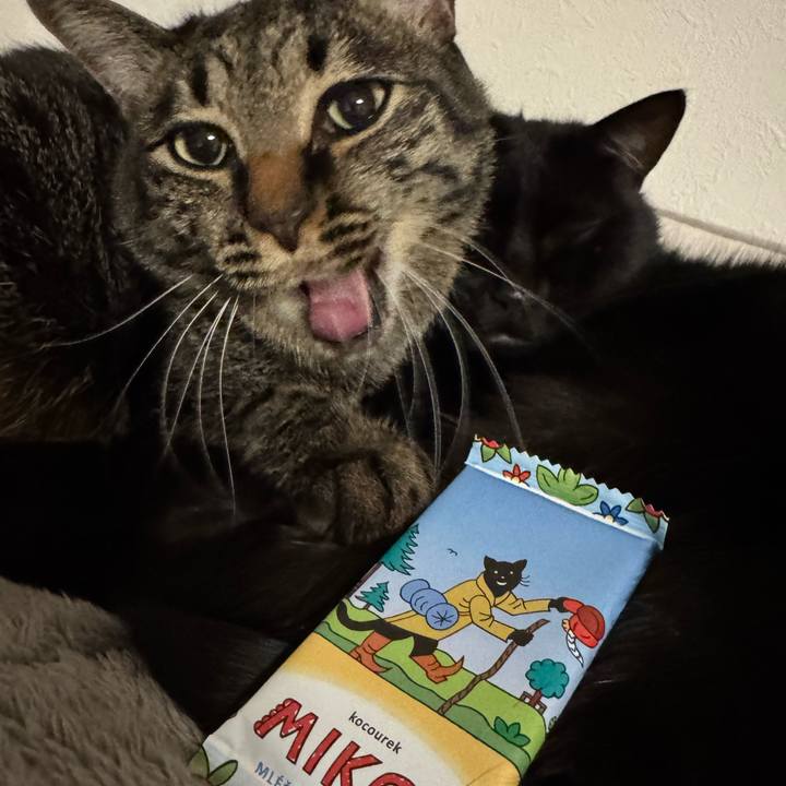 Dba99c06 8d6b 412c b9bb b0e25a72f459 1740657931169