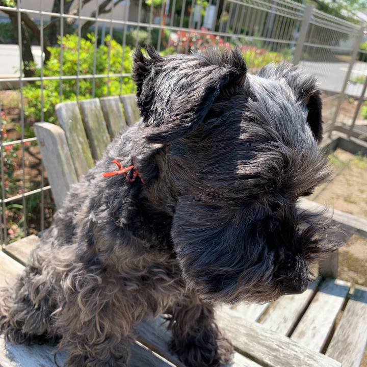 Dba9b577 2cd5 412d bf40 be7ad1bc2dc2 1587785074071