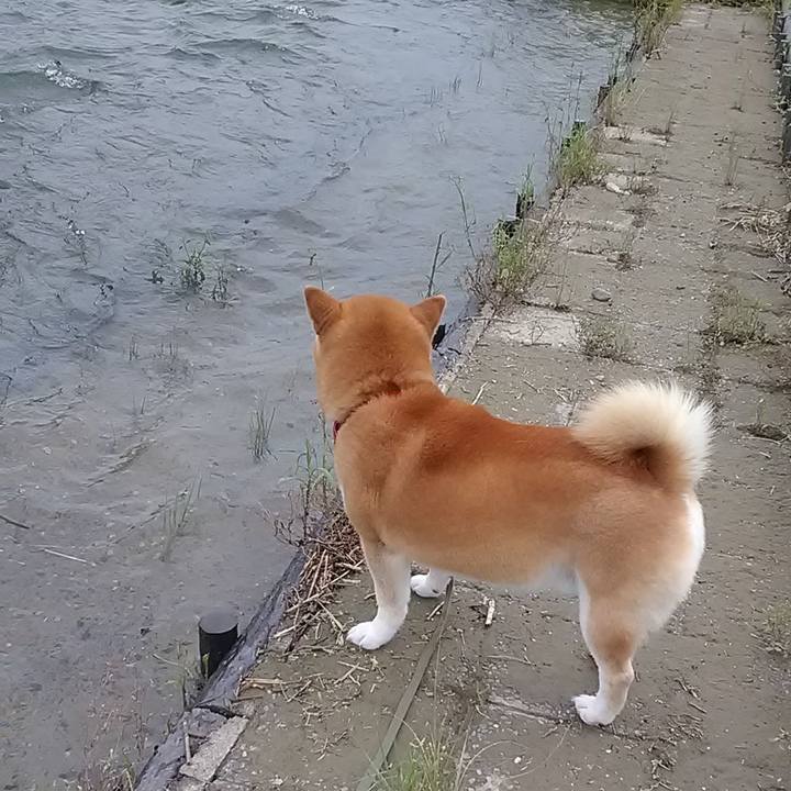 Dba9dfda 9aa9 4d25 b4da 23f587f0874b 1595669846254