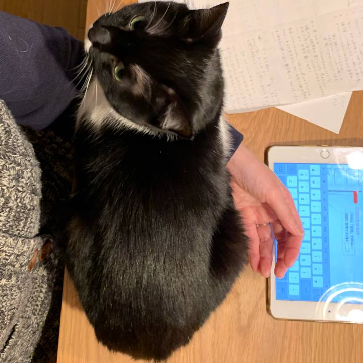 Dba9ecb3 80b0 4c29 9be9 99b417ddedd5 1548061327705