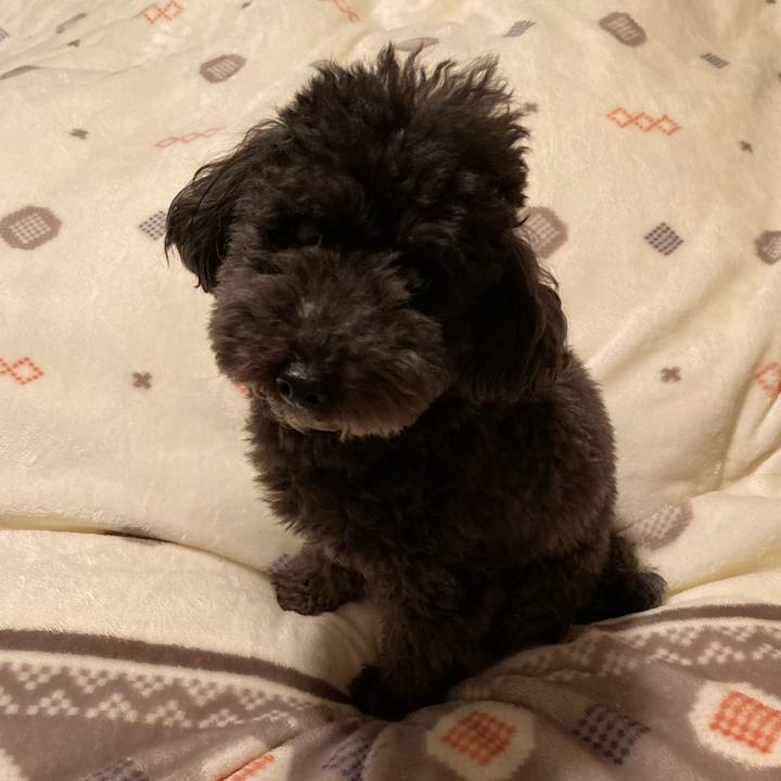 Dba9feb0 2155 4252 8fb1 2cc35a1cc3ac 1637226270120