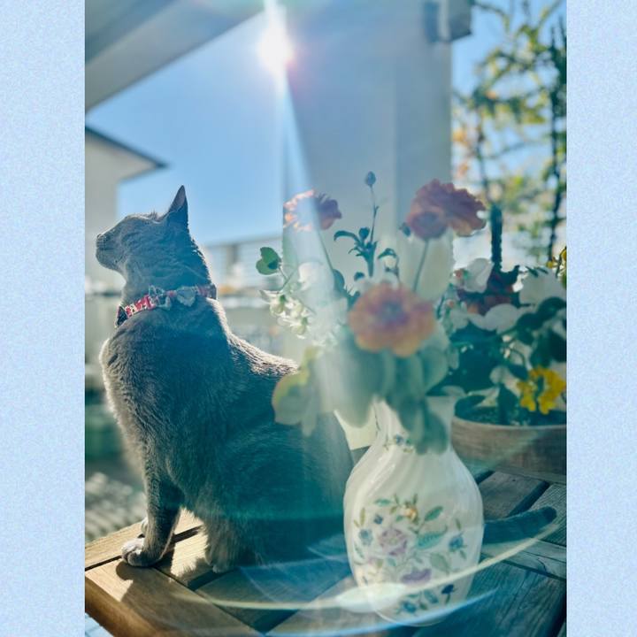 Dbaa2948 ffad 4714 b6ac 18ae42918d8f 1771379323346