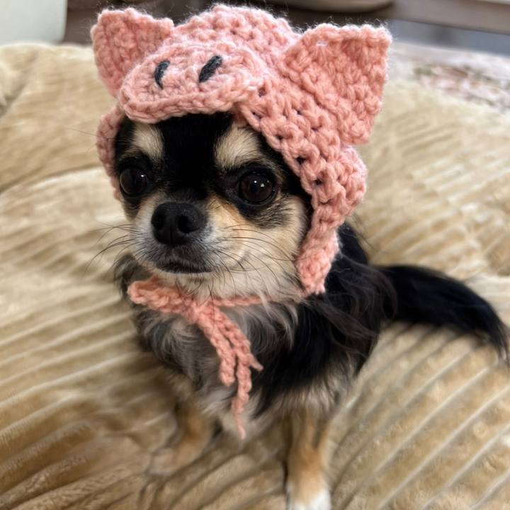 Dbaa3cf1 deb1 4803 b791 5d5a4575bd41 1667988004214