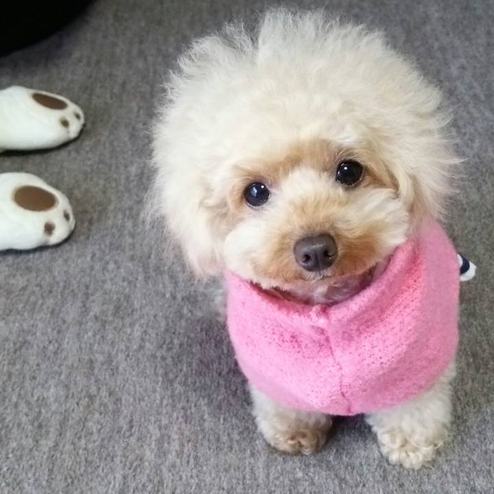 Dbaac899 9b47 49f8 a81a 355508c729c2 1544257344794