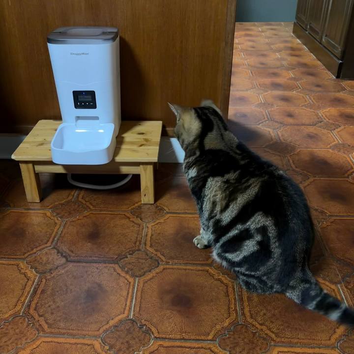 Dbaacaaf 59b8 4035 955f deab3a57a44b 1775727518846