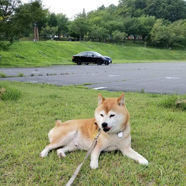 Dbaae225 d3b6 4f7e 9af0 a362d7348f65 1623746667428