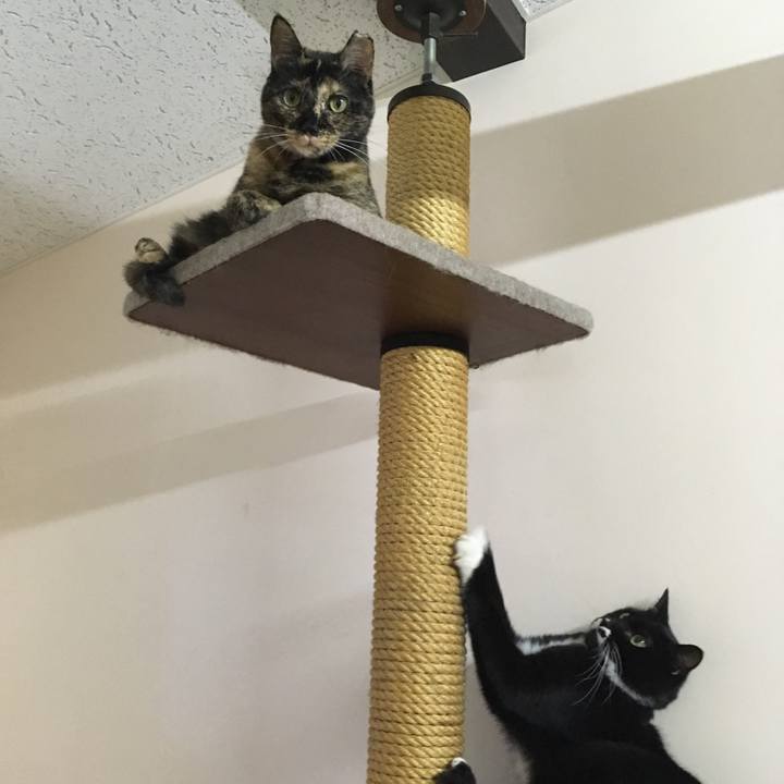 Dbab19de 80fc 4061 958f b79c4e1f50e3 1538390279155