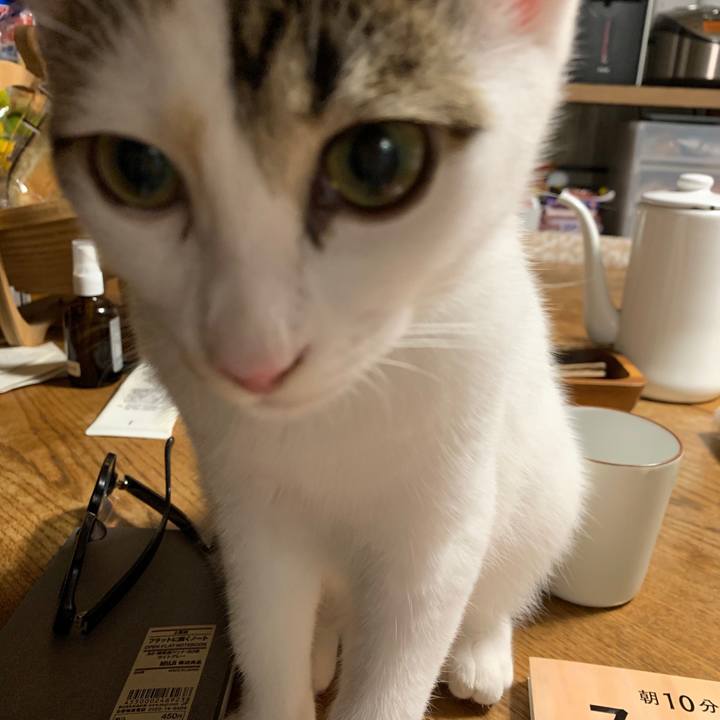 Dbab3fcc c022 4116 b619 6bb1cc6892ea 1601809188574