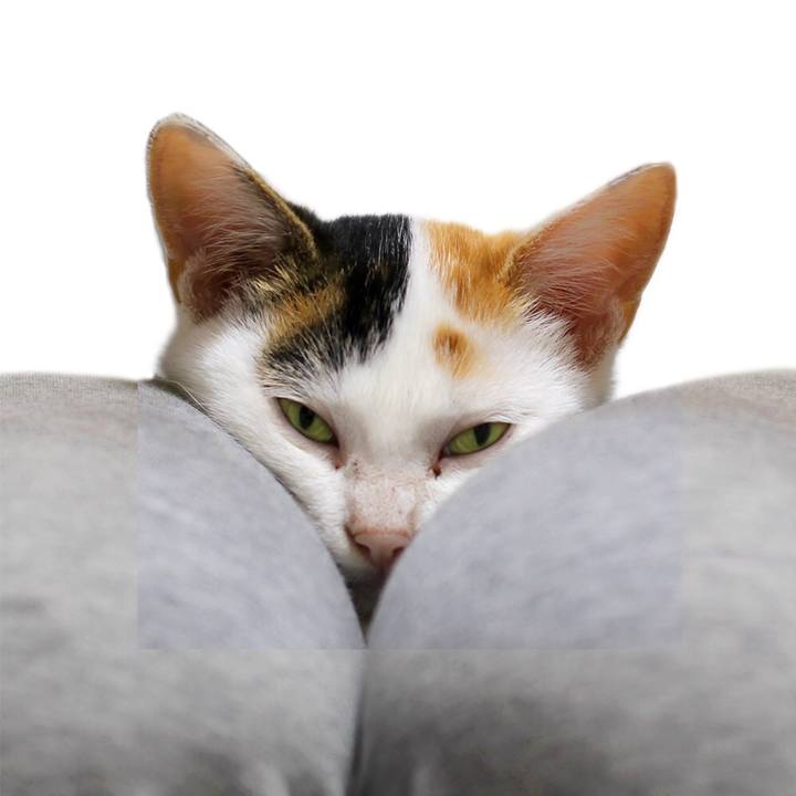 Dbab5b0a 6612 44c7 a2da 5eff47b5d0e8 1541894804231