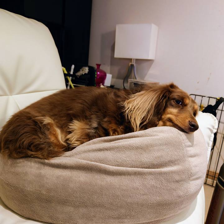 Dbabb937 282a 42cd b234 7e47fce8e513 1637160885928