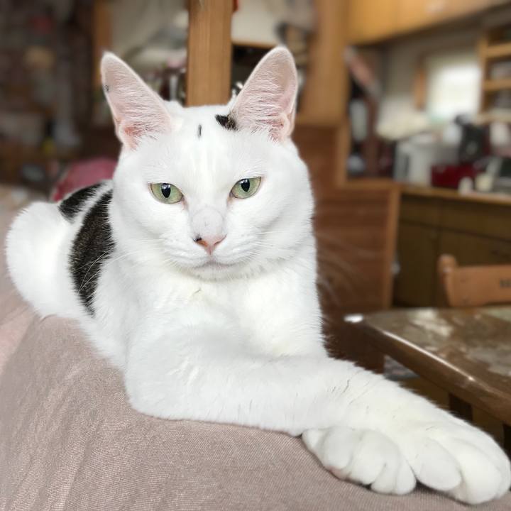 Dbabe8ed 8749 4282 a8ee 4a5fd5e3be86 1588457689983