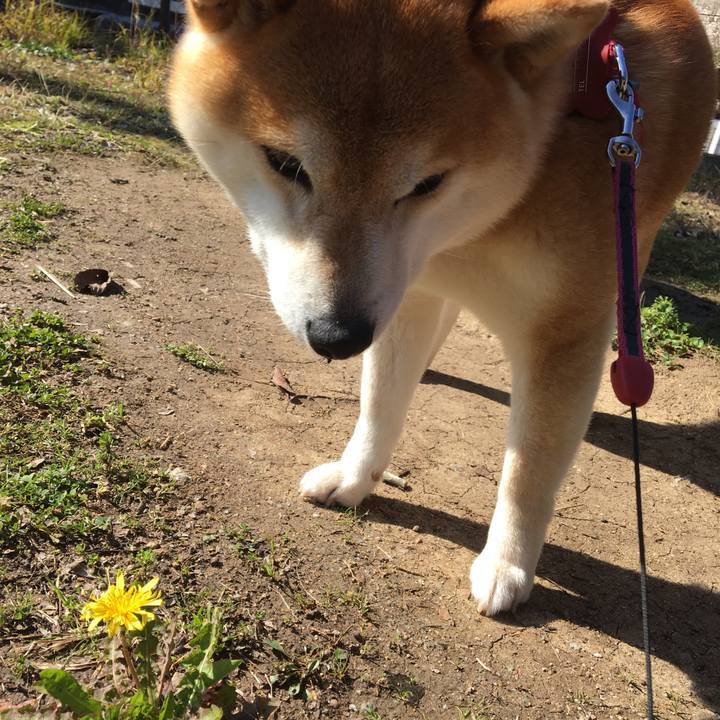 Dbac3ee9 a979 4419 b212 4e14903c5470 1581657083205