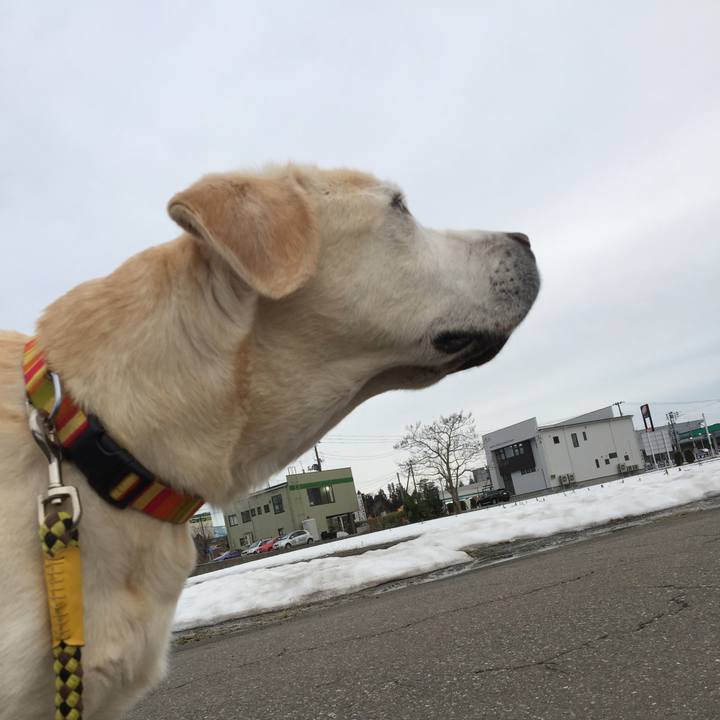 Dbac7a9a 4a07 4390 ac75 ac1631ebabb4 1581403651260