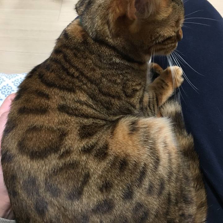 Dbac8824 b4f9 43e5 8f62 1603efa6d065 1513694772107