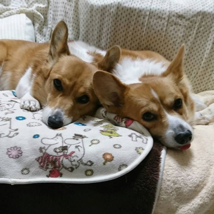 Dbacce68 6ad1 4d44 a11a e24d75a58abc 1513934111796