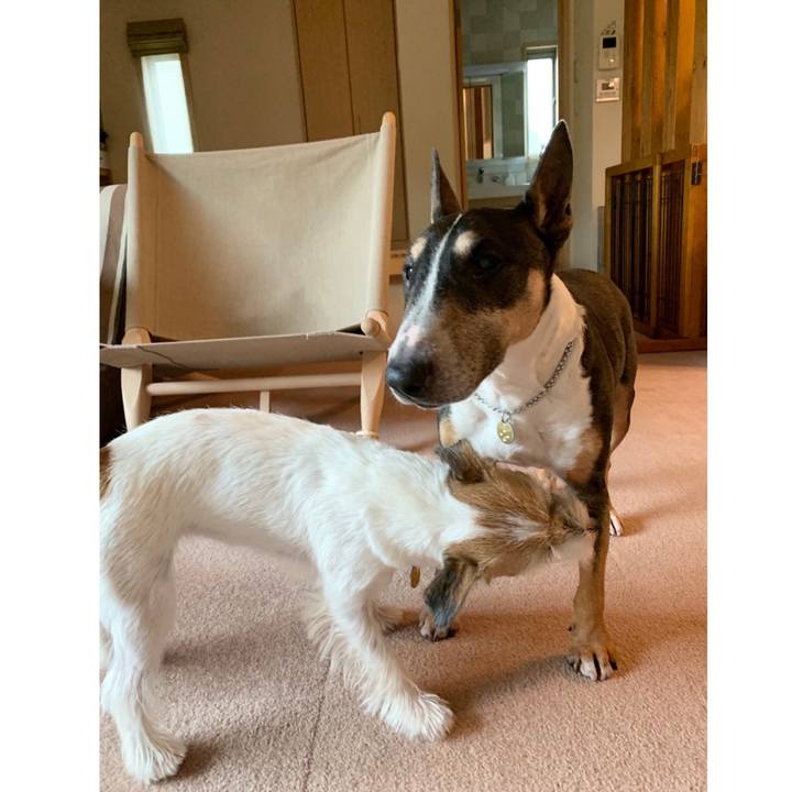 Dbacd990 7b29 4269 a6a3 7b3c332a35ad 1599887553611