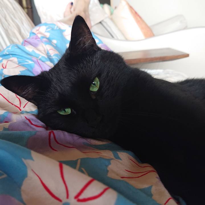 Dbace530 88c2 478d 9fc8 89a7550dbd9c 1628915837262