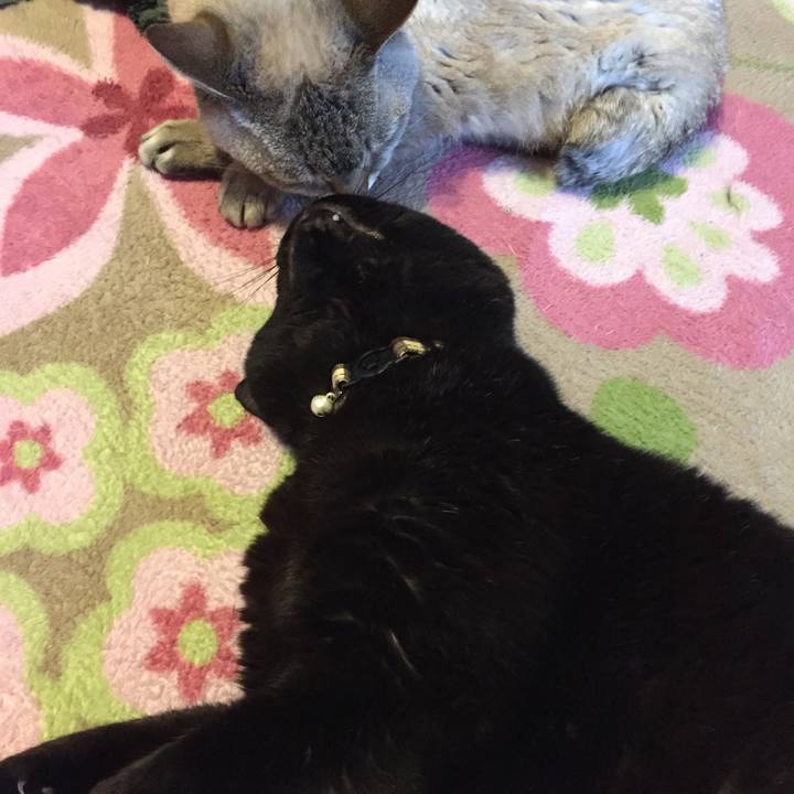 Dbace666 c8ed 4c36 86ec da990ed7c6c9 1523050792458