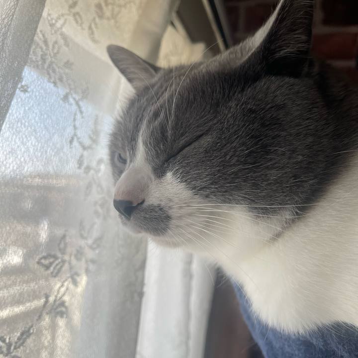 Dbad0298 7465 4f86 829c dd2f5832d63e 1683679010742