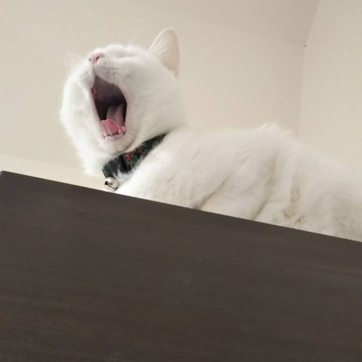 Dbad2eea 4b4c 409d 84e6 2b96a34d1438 1644836951404