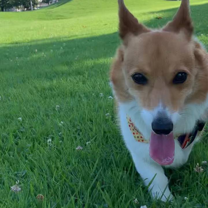 Dbad41b2 f406 4c66 a4ce 0cc0853331d0 1656544600270