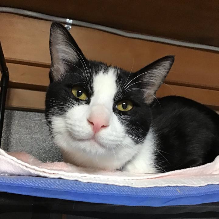 Dbad6d44 0d7b 4e85 882a 1dd8409f6022 1638483274488