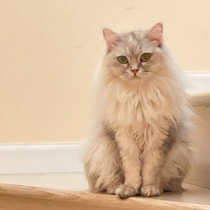 Dbada23c 6748 4dc7 8ecd 7ed306d5bda5 1688902422238