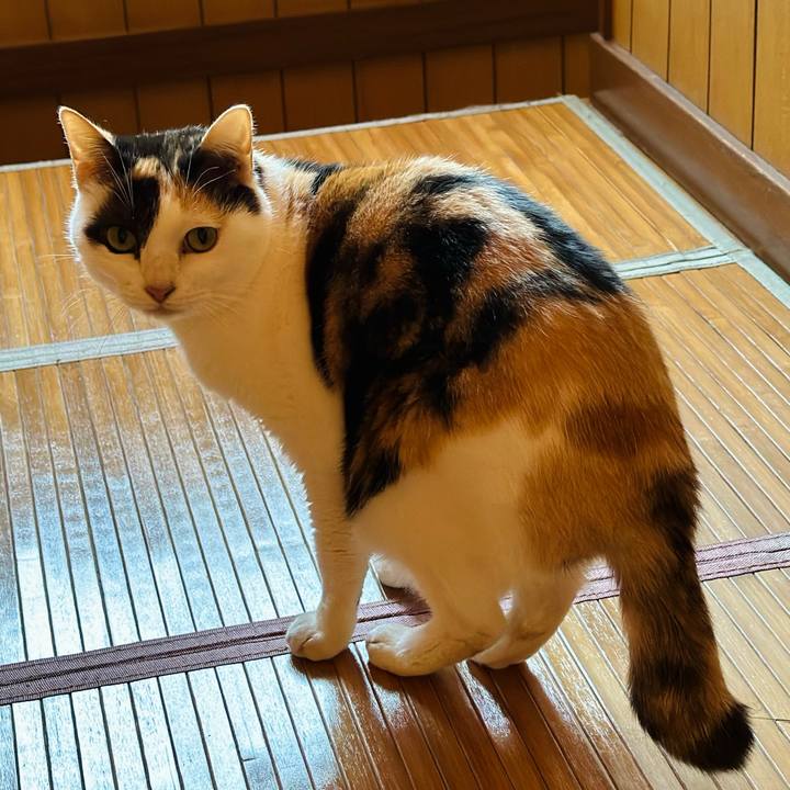 Dbada431 09e9 4bfd 98c5 7c677fc73eef 1702259982171