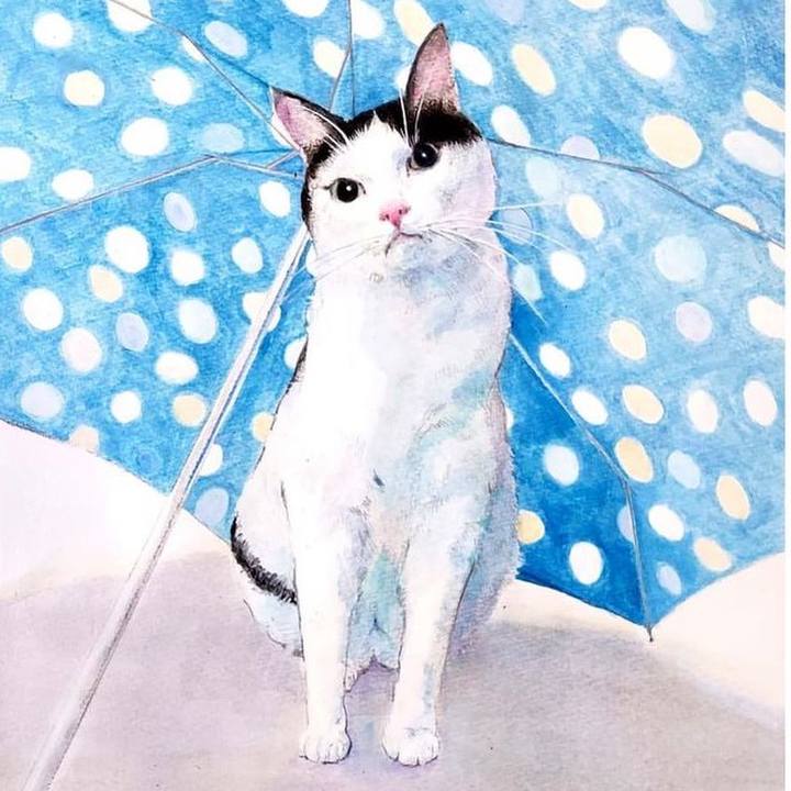 Dbadc6c6 30ef 46c1 befb 912333b5cfef 1638484426917