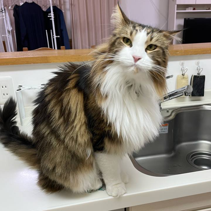 Dbae99ec 530e 46d8 b562 6eda49b53147 1672256621160