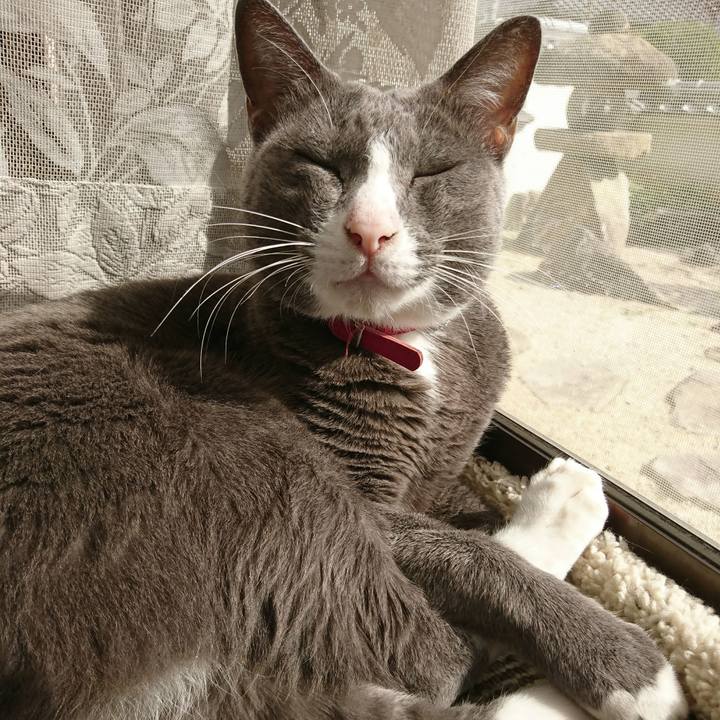 Dbaf0103 98b7 4e90 9edf d8ad6fb5413f 1508731971526