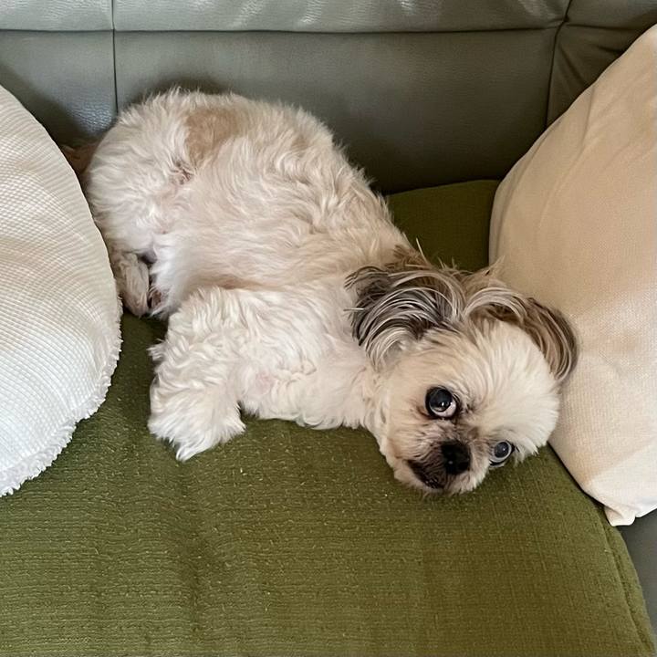 Dbaf551f 1066 4ccd a1cc 4f866a2add99 1689681663446