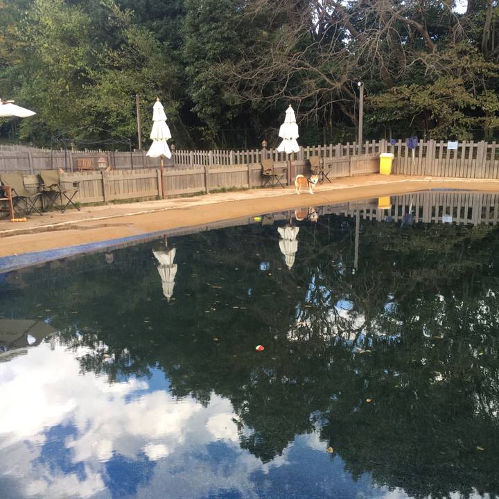 Dbaf5634 709b 4ce6 a3d6 a973404edd61 1636587133440