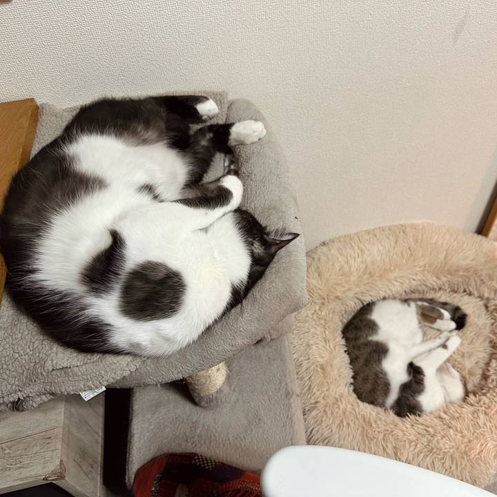 Dbaf5643 e732 4df0 acab c43c00fa3449 1771325341088