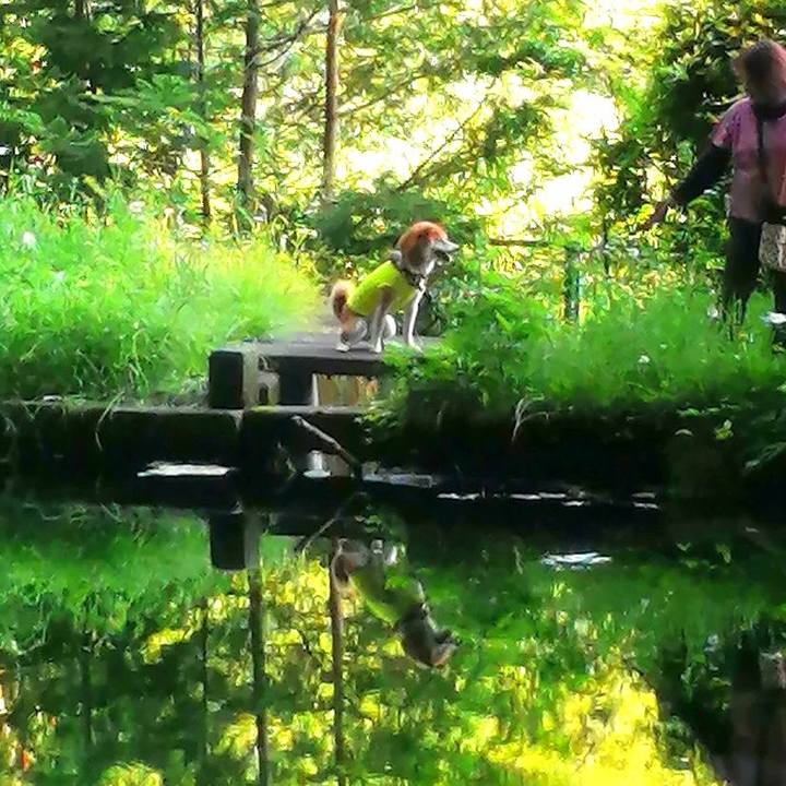 Dbaf7ffc 886e 4a61 a688 94cf04b40e9c 1687833030107