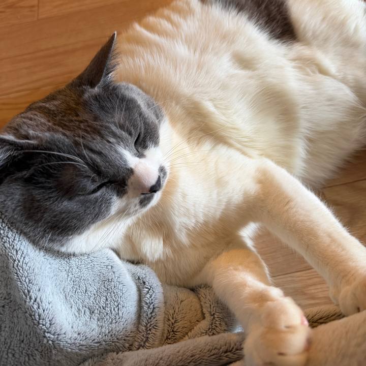 Dbaf80ee 863f 4fbe 8e38 e73ca317e594 1771464484078